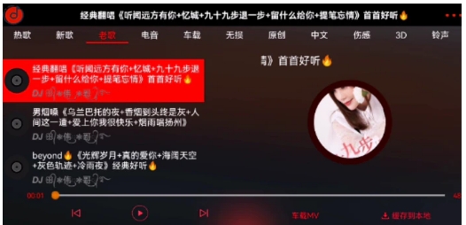 车载DJ，随心所欲畅听全网VIP资源-柚子资源网