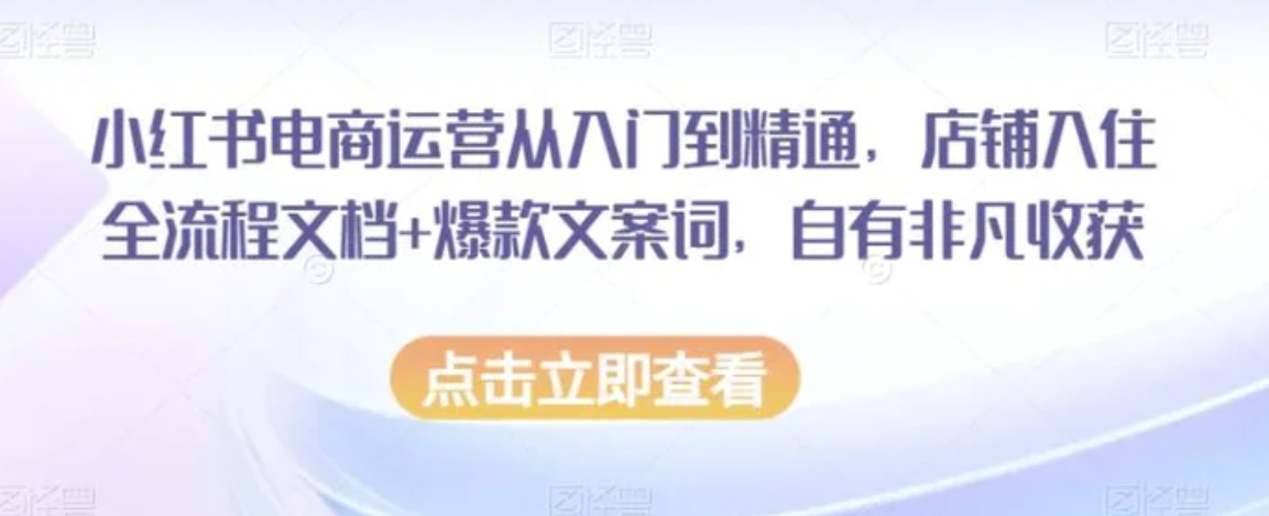 小红书电商运营从入门到精通，店铺入住全流程文档+爆款文案词，自有非凡收获-柚子资源网