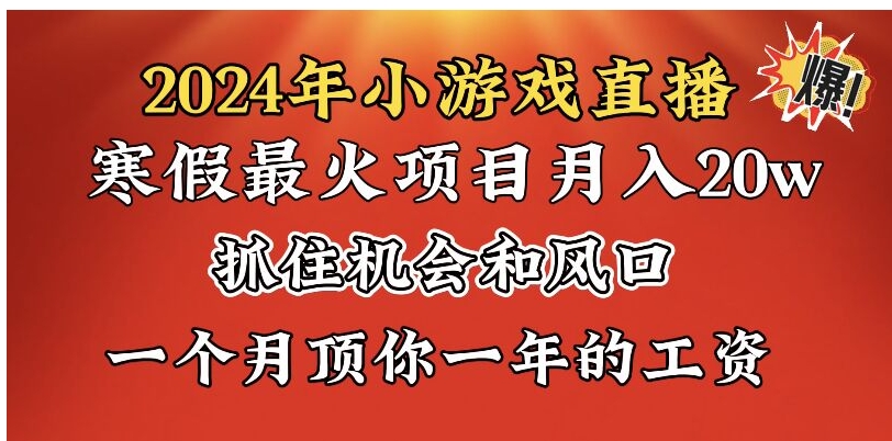 2024年寒假爆火项目，小游戏直播月入20w+，学会了之后你将翻身-柚子资源网