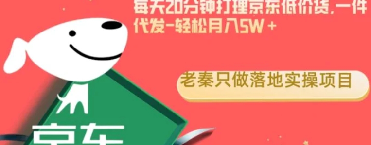 每天20分钟打理京东低价货，一件代发-轻松月入5W＋-柚子资源网