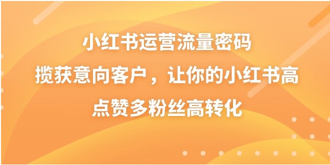 小红书运营流量密码，揽获意向客户，让你的小红书高点赞多粉丝高转化-柚子资源网