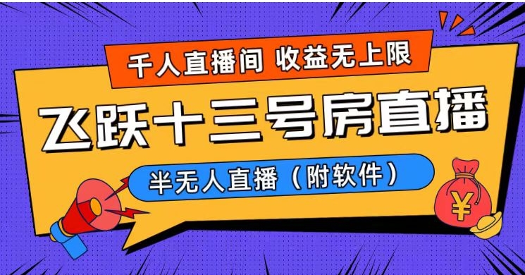 爆火飞跃十三号房半无人直播，一场直播上千人，日入过万！-柚子资源网