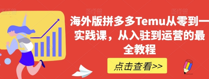 海外版拼多多Temu从零到一实践课，从入驻到运营的最全教程-柚子资源网