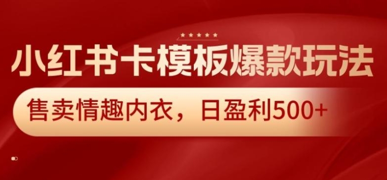 小红书卡模板爆款玩法，售卖情趣内衣，日盈利500+【揭秘】-柚子资源网