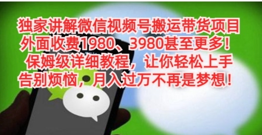 独家讲解微信视频号搬运带货项目，保姆级详细教程-柚子资源网