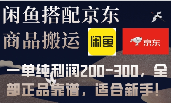 闲鱼搭配京东备份库搬运，一单纯利润200-300，全部正品靠谱，适合新手！-柚子资源网