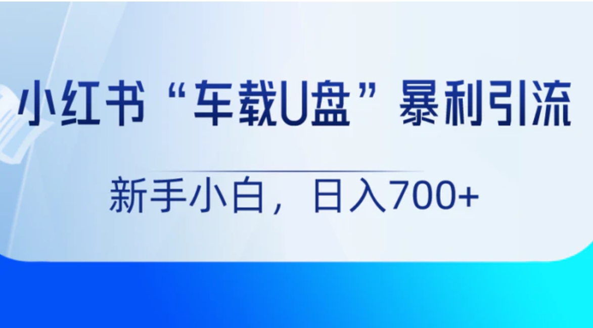 小红书“车载U盘”项目，暴利引流，新手小白轻松日入700+-柚子资源网