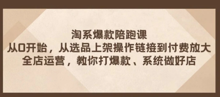 淘系爆款陪跑课 从选品上架操作链接到付费放大 全店运营 打爆款 系统做好店-柚子资源网