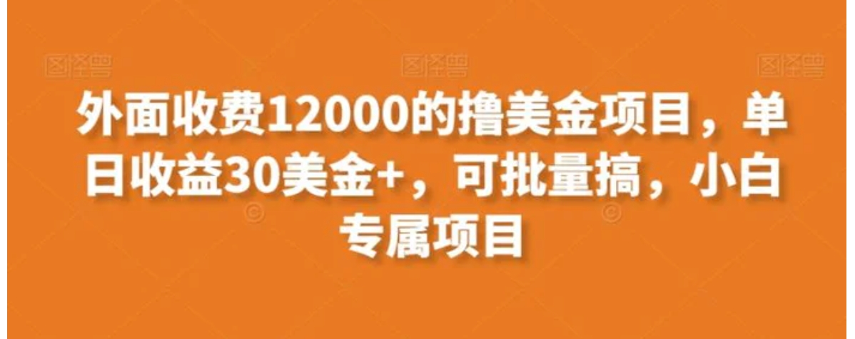 外面收费12000的撸美金项目，单日收益30美金+，可批量搞，小白专属项目-柚子资源网