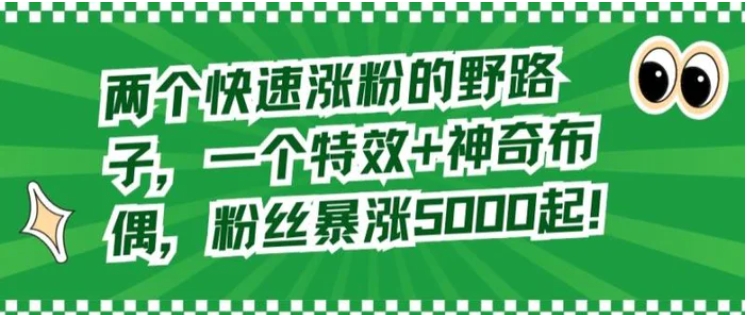 两个快速涨粉的野路子，一个特效+神奇布偶，粉丝暴涨5000起【揭秘】-柚子资源网