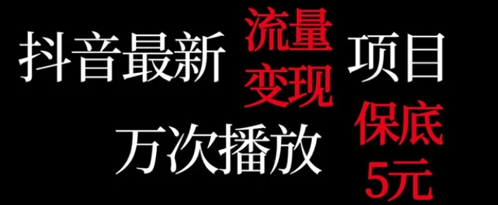 抖音流量变现，万次播放保底5元，额外收入-柚子资源网