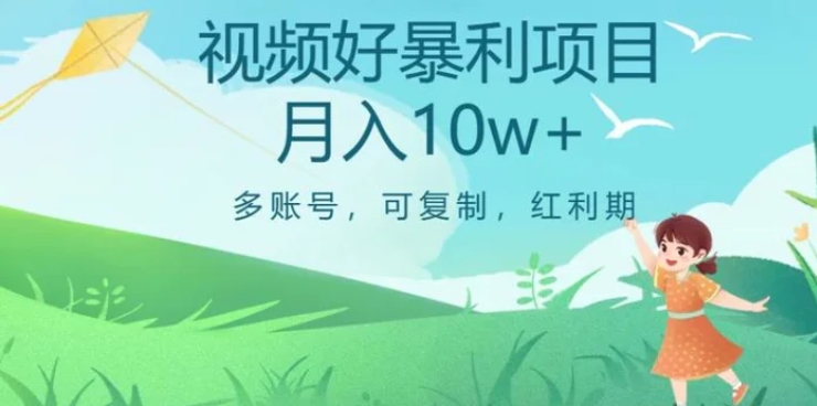 外边收费699项目，视频号暴利项目，多账号可复制，红利期-柚子资源网