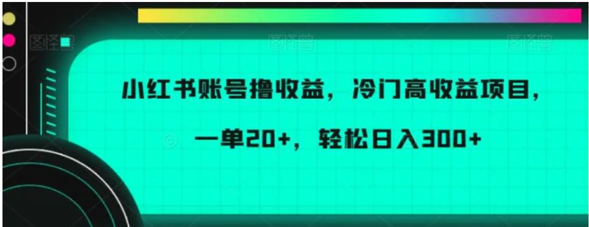 小红书账号撸收益，冷门高收益项目，一单20+，轻松日入300+-柚子资源网