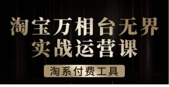 沧海·淘系万相台无界实战运营课，万相台无界实操全案例解析-柚子资源网