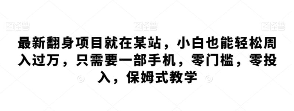 最新翻身项目就在某站，小白也能轻松周入过万，只需要一部手机，零门槛，零投入，保姆式教学-柚子资源网