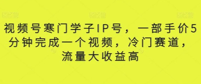 视频号寒门学子IP号，一部手价5分钟完成一个视频，冷门赛道，流量大收益高【揭秘】-柚子资源网