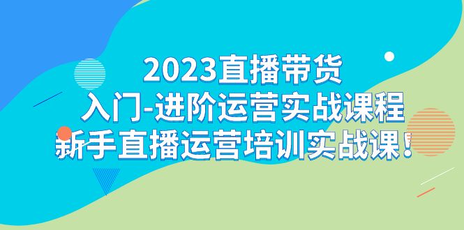 2023直播带货入门-进阶运营实战课程：新手直播运营培训实战课-柚子资源网