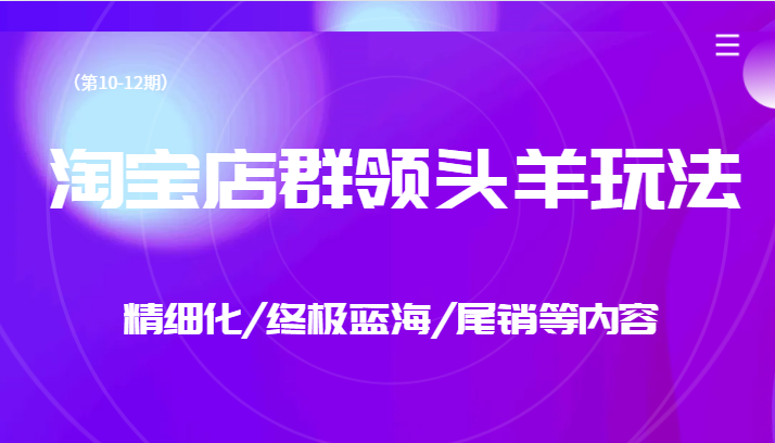 淘宝店群领头羊玩法，精细化/终极蓝海/尾销等内容-柚子资源网