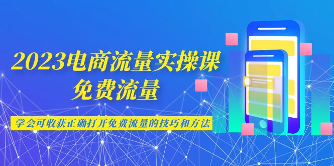 2023电商流量实操课-免费流量，学会可收获正确打开免费流量的技巧和方法-柚子资源网