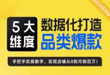 5大维度，数据化打造电商品类爆款特训营，一套高效运营爆款方法论-柚子资源网