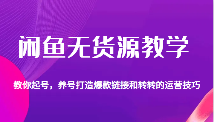 闲鱼无货源教学，教你起号，养号打造爆款链接以及转转的运营技巧-柚子资源网