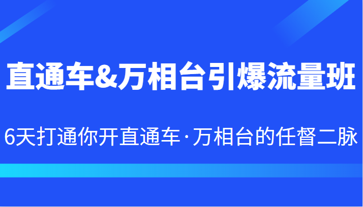 直通车&万相台引爆流量班 6天打通你开直通车·万相台的任督二脉-柚子资源网