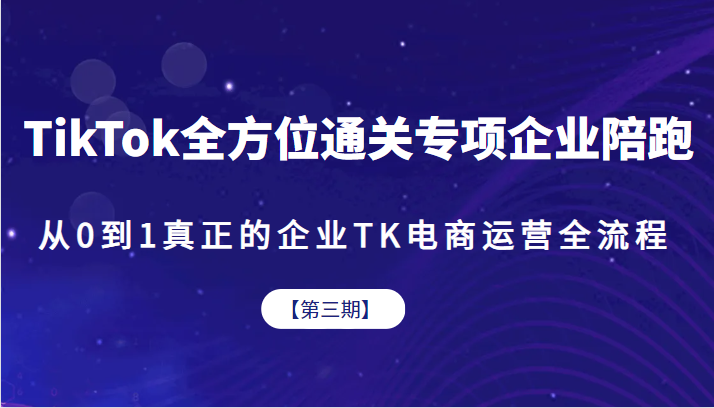 TikTok全方位通关专项企业陪跑【第三期】，从0到1真正的企业TK电商运营全流-柚子资源网