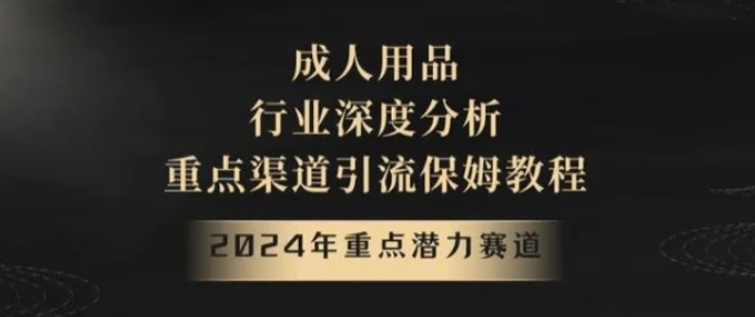 2024年重点潜力赛道，成人用品行业深度分析，重点渠道引流保姆教程【揭秘】-柚子资源网