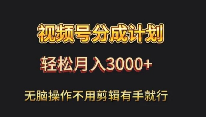 视频号流量分成，不用剪辑，有手就行，轻松月入2000+-柚子资源网