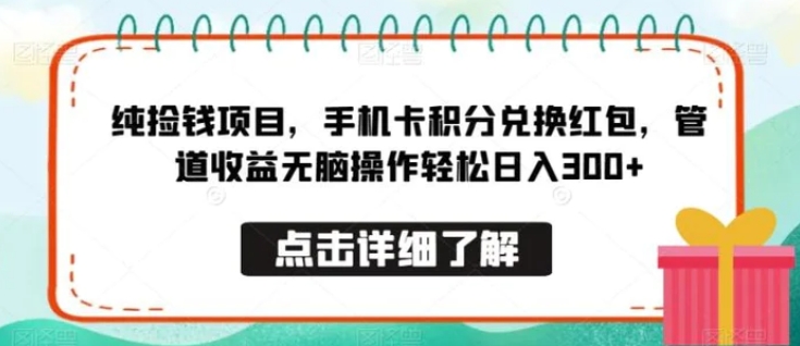 纯捡钱项目，手机卡积分兑换红包，管道收益无脑操作轻松日入300+-柚子资源网