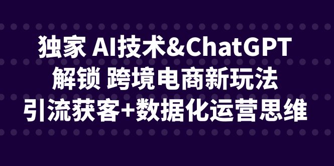 独家 AI技术&ChatGPT解锁 跨境电商新玩法，引流获客+数据化运营思维-柚子资源网