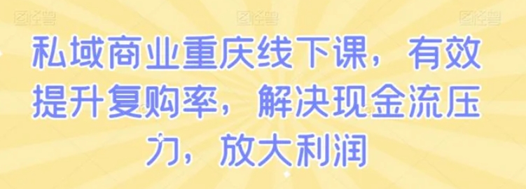 私域商业重庆线下课，有效提升复购率，解决现金流压力，放大利润-柚子资源网