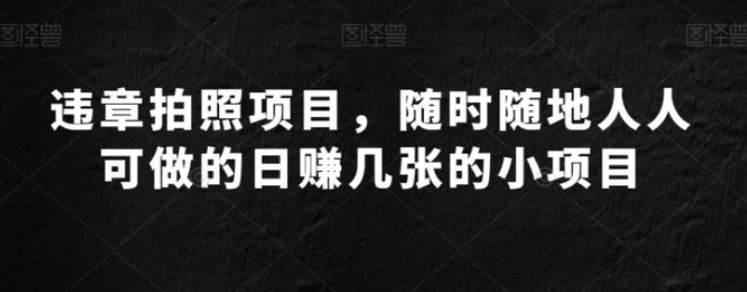 违章拍照项目，随时随地人人可做的日赚几张的小项目-柚子资源网