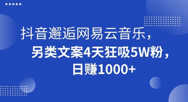 抖音邂逅网易云音乐，另类文案4天狂吸5W粉，日赚1000+【揭秘】-柚子资源网