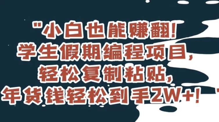 小白也能赚翻！学生假期编程项目，轻松复制粘贴，年货钱轻松到手2W+【揭秘】-柚子资源网