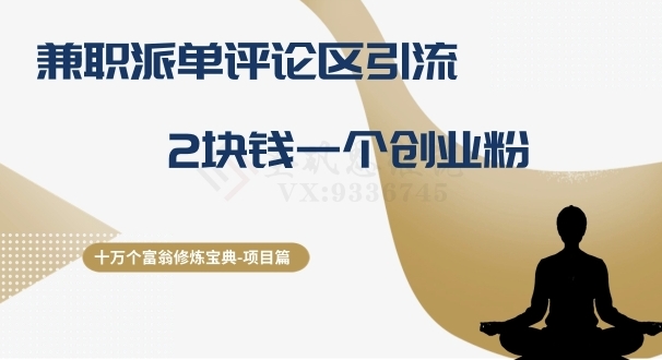 十万个富翁修炼宝典之11.兼职派单评论区引流，2块钱一个创业粉-柚子资源网