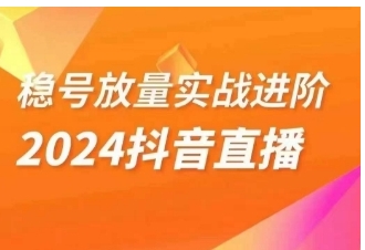 稳号放量实战进阶—2024抖音直播，直播间精细化运营的几大步骤-柚子资源网