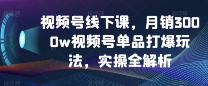 视频号线下课，月销3000w视频号单品打爆玩法，实操全解析-柚子资源网