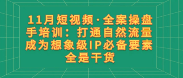 11月短视频·全案操盘手培训：打通自然流量 成为想象级IP必备要素 全是干货-柚子资源网