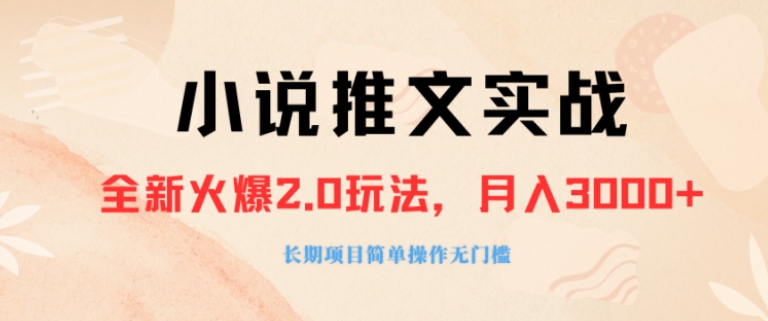 外面收费990的小说推广软件，零粉丝可变现，月入3000+，小白当天即上手-柚子资源网