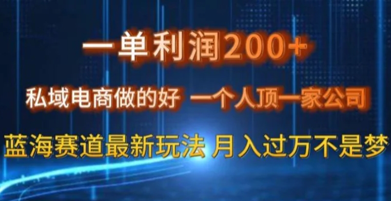 一单利润200私域电商做的好，一个人顶一家公司蓝海赛道最新玩法【揭秘】-柚子资源网