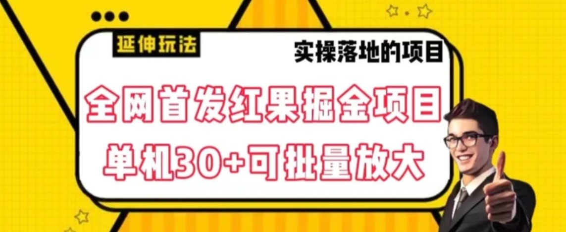 全网首发红果免费短剧掘金项目，单机30+可批量放大【揭秘】-柚子资源网