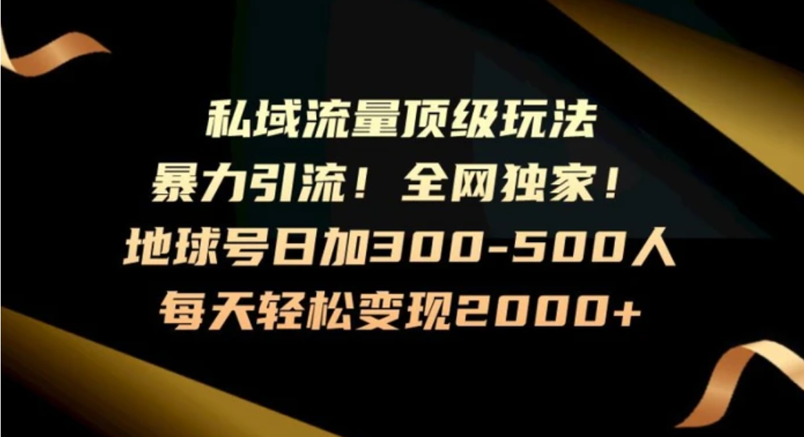 暴力引流，全网独家，地球号日加300-500人，私域流量顶级玩法，每天轻松变现2000+-柚子资源网