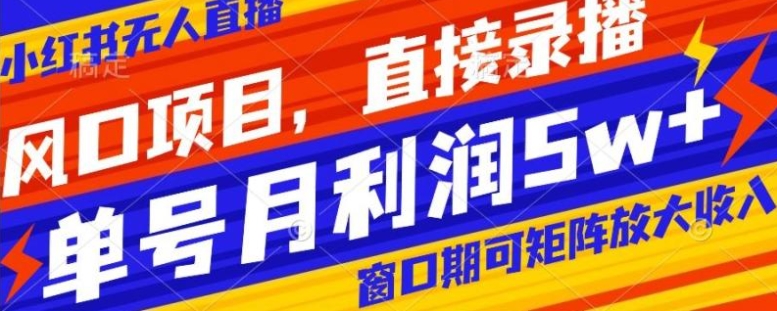 风口项目，小红书无人直播带货，直接录播，可矩阵，月入5w+【揭秘】-柚子资源网