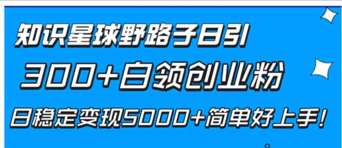 知识星球野路子日引300+白领创业粉，日稳定变现5000+简单好上手！-柚子资源网