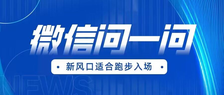 全网首发微信问一问新风口变现项目-柚子资源网