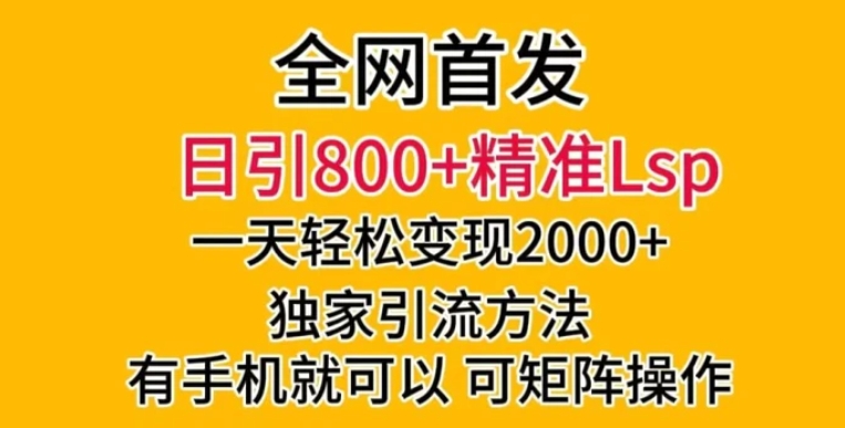 全网首发！日引800+精准老色批，一天变现2000+，独家引流方法，可矩阵操作【揭秘】-柚子资源网