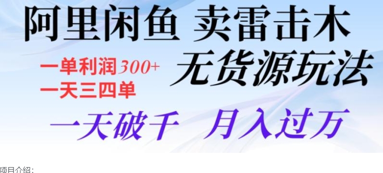 阿里闲鱼卖雷击木无货源玩法，一单利润300+，一天三四单，一天破千，月入过万-柚子资源网