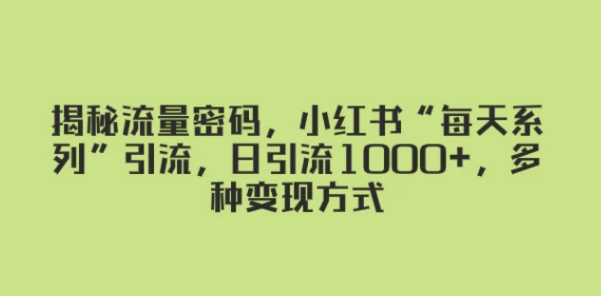 揭秘流量密码，小红书“每天系列”引流，日引流1000+，多种变现方式-柚子资源网