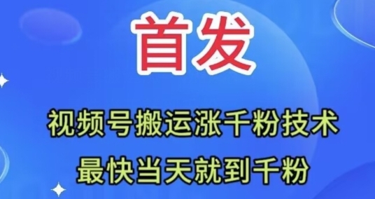 全网首发：视频号无脑搬运涨千粉技术，最快当天到千粉【揭秘】-柚子资源网